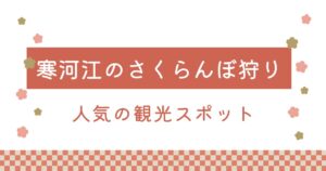 山形県寒河江市のさくらんぼ狩り