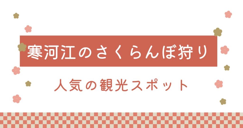 山形県寒河江市のさくらんぼ狩り